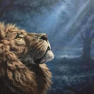 Meet your Posher, Jorge